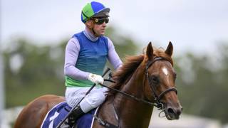 Star Of Jamaica out to break Skyline Stakes drought